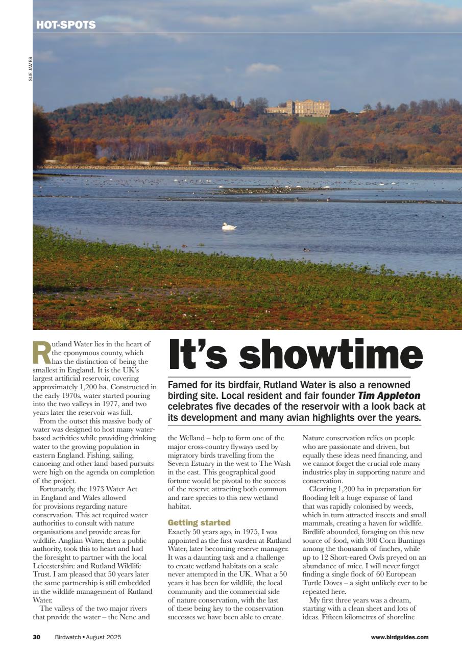Birdwatch Magazine Preview Pages