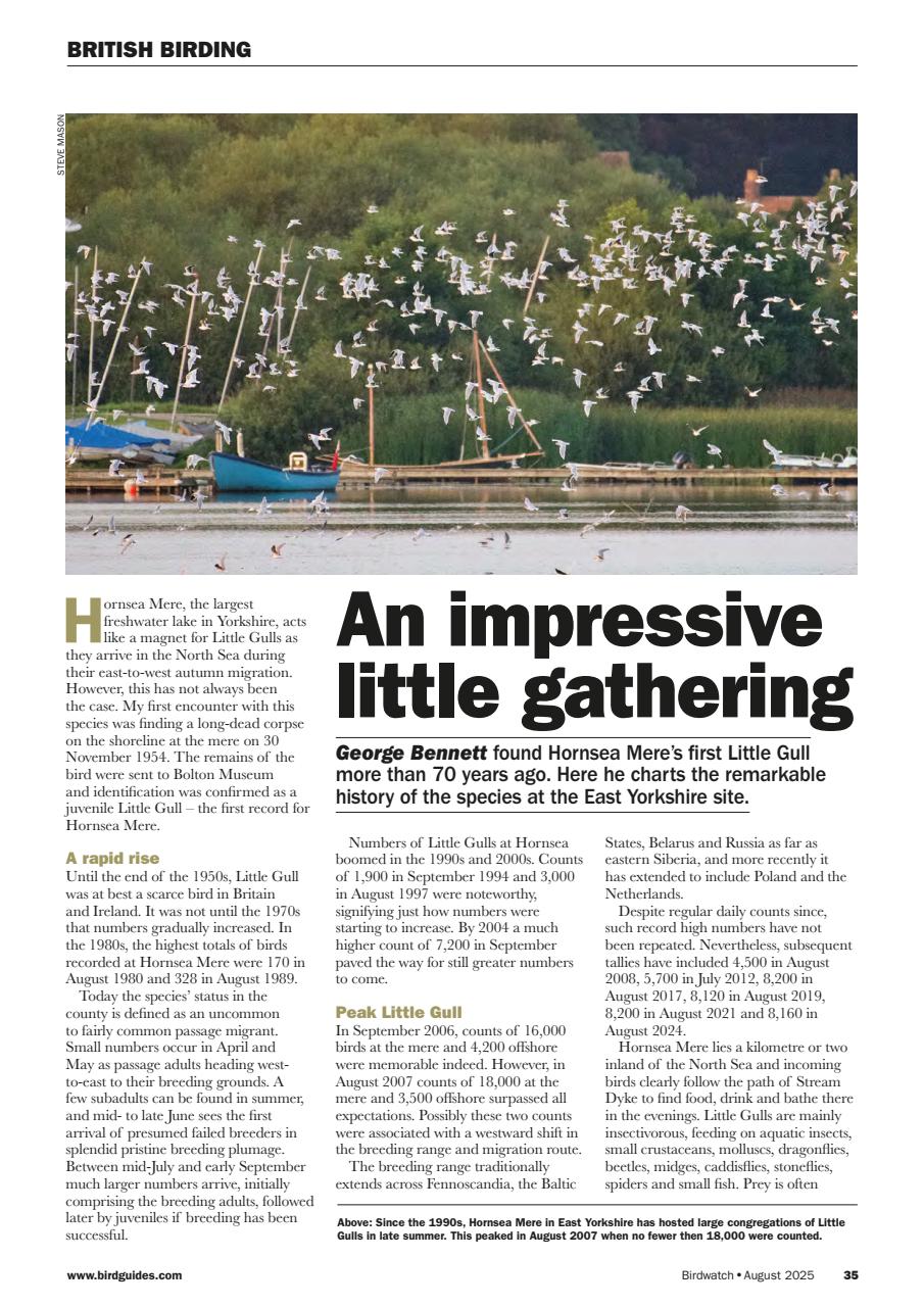 Birdwatch Magazine Preview Pages