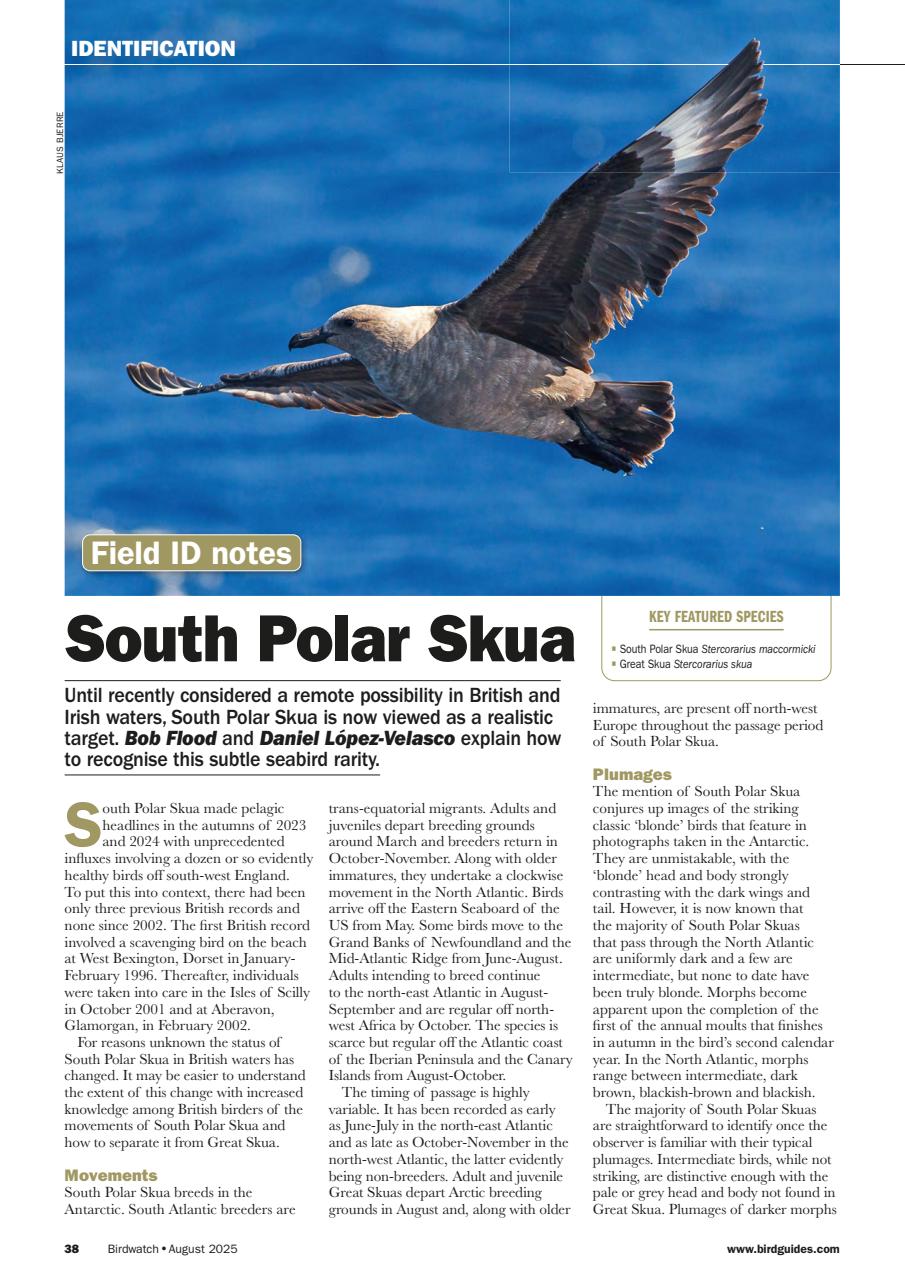 Birdwatch Magazine Preview Pages