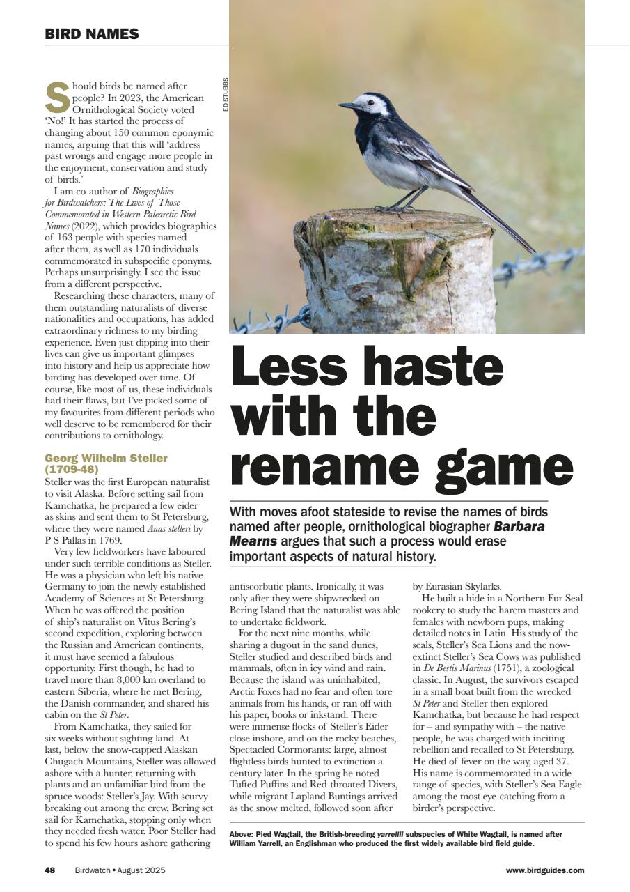 Birdwatch Magazine Preview Pages