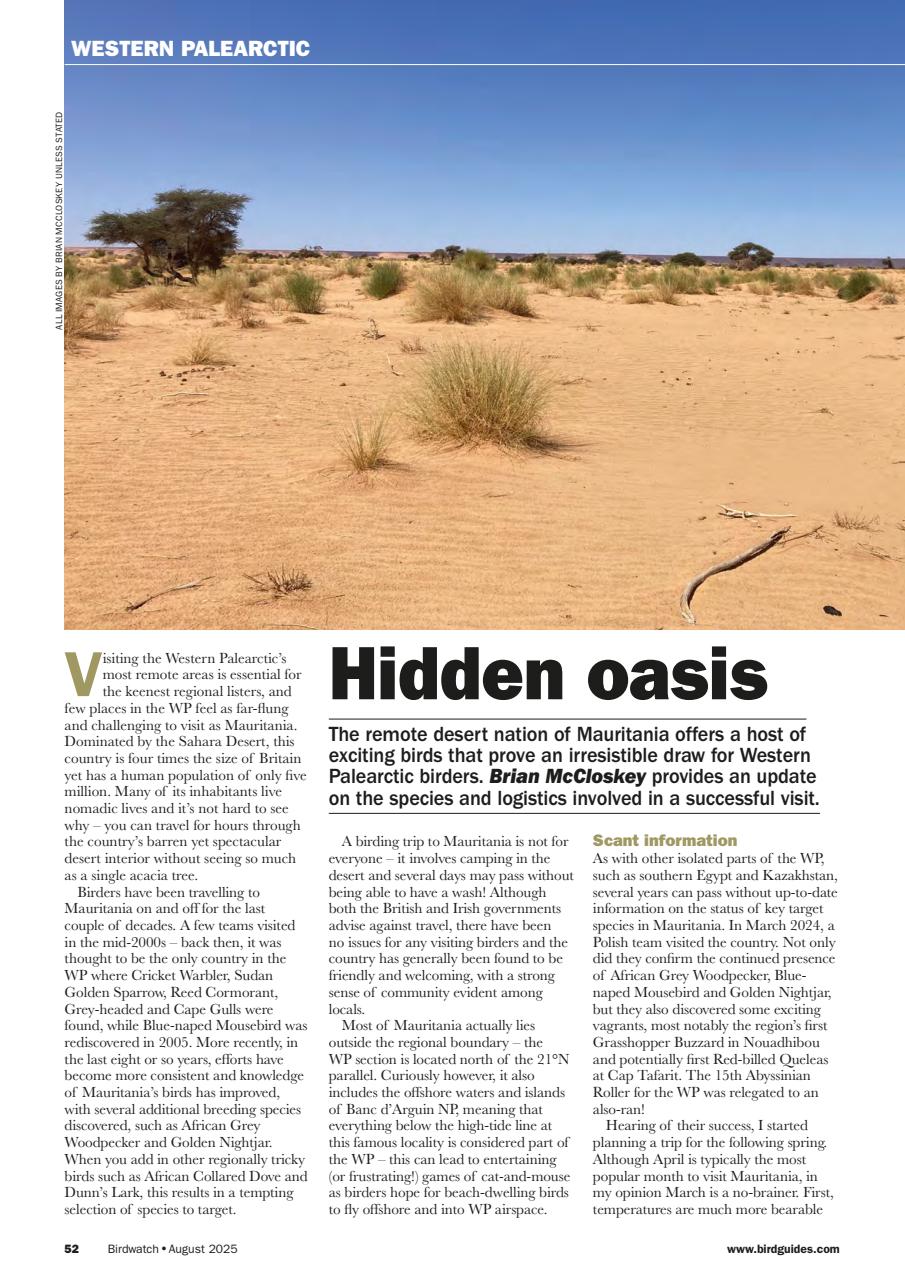 Birdwatch Magazine Preview Pages