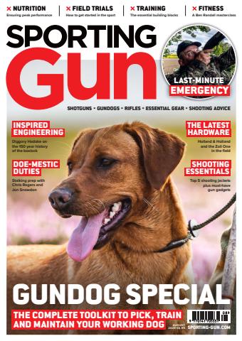 Sporting Gun issue Aug / 312