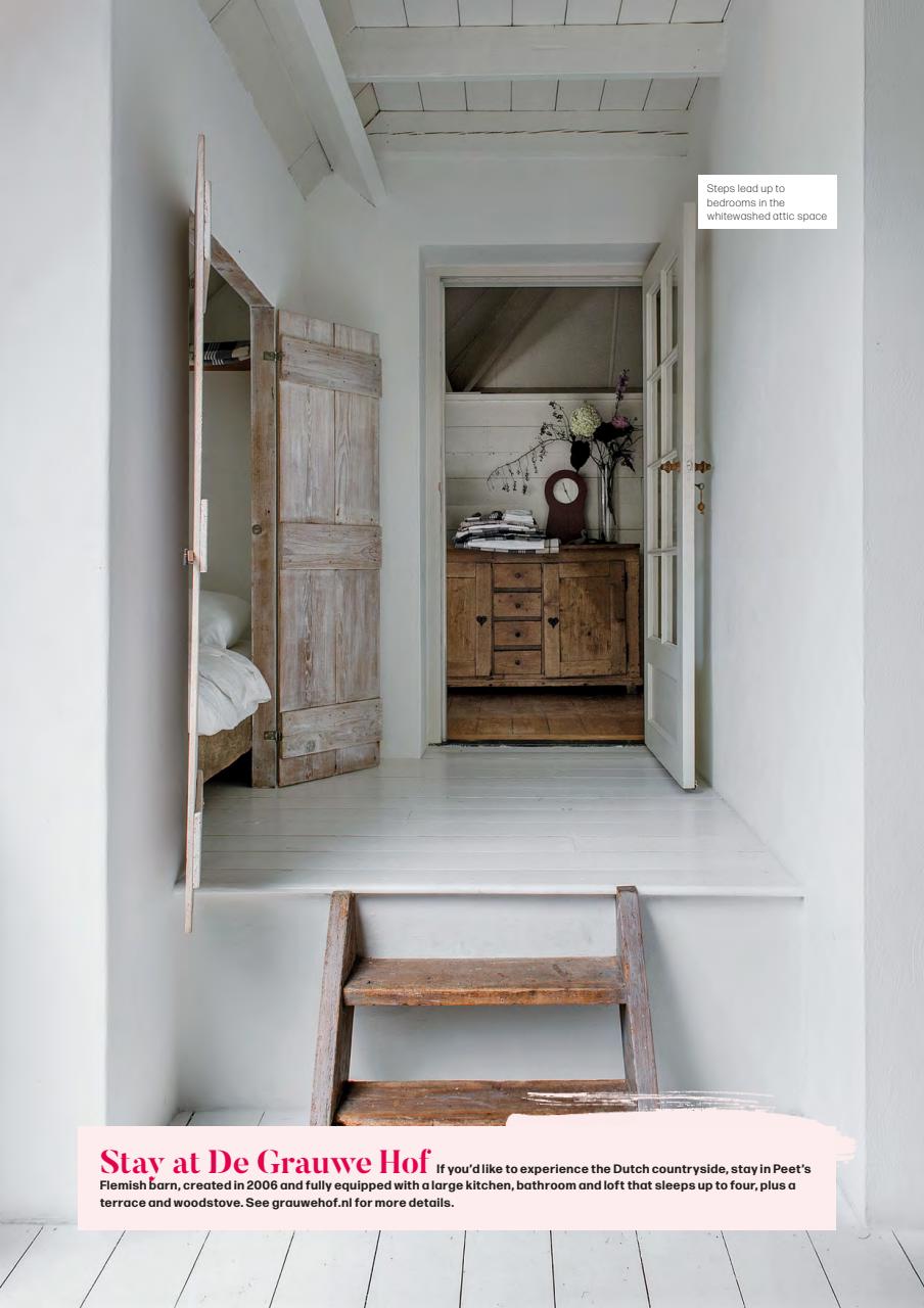 Reclaim Preview Pages