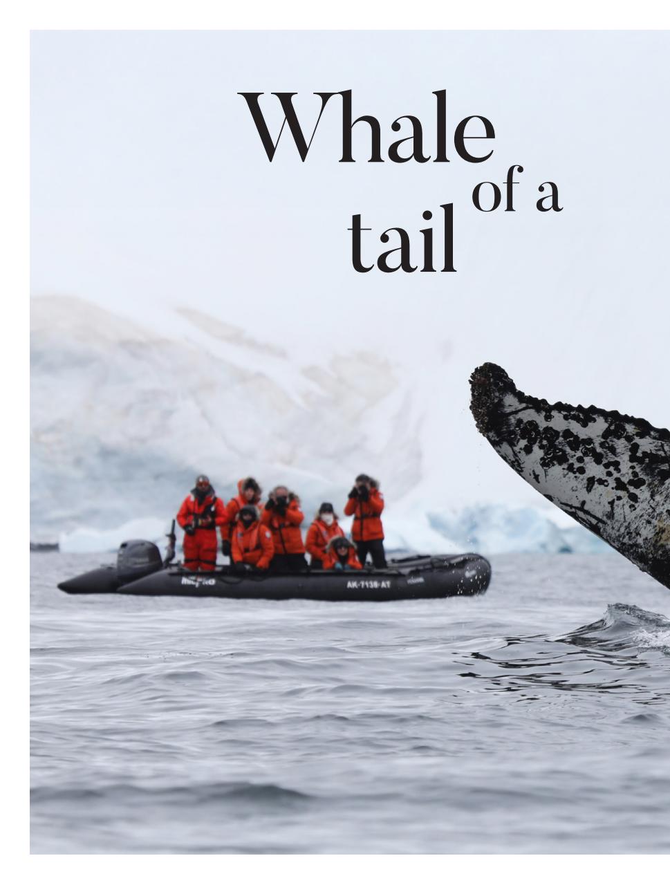 Vacations & Travel Preview Pages