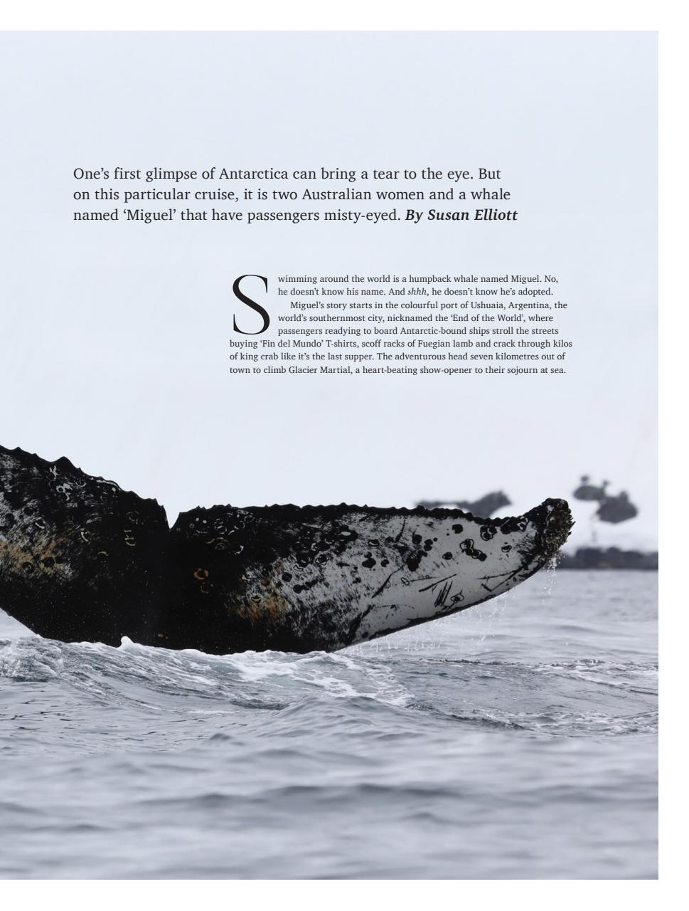 Vacations & Travel Preview Pages