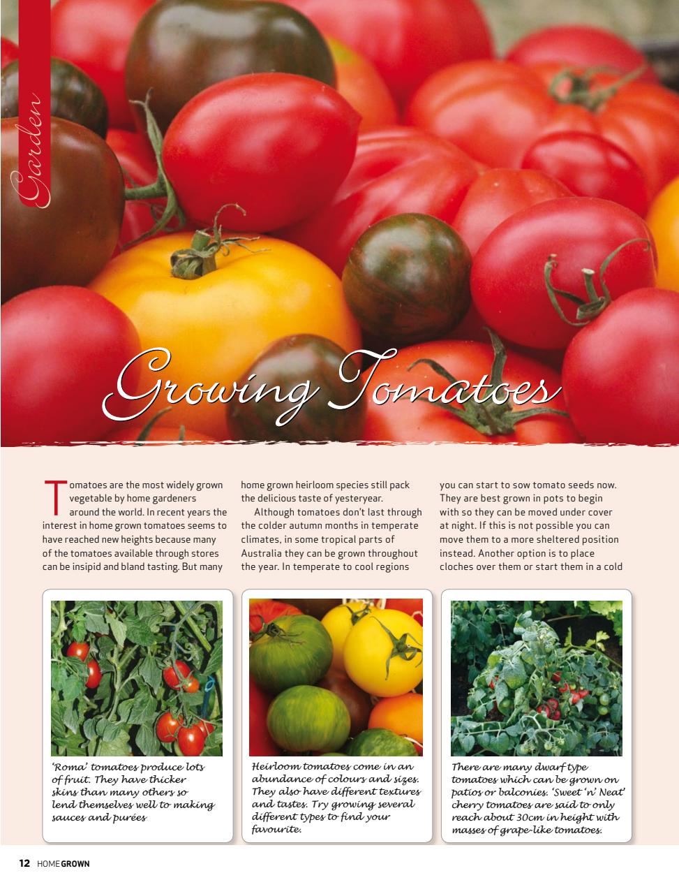 HomeGrown Preview Pages