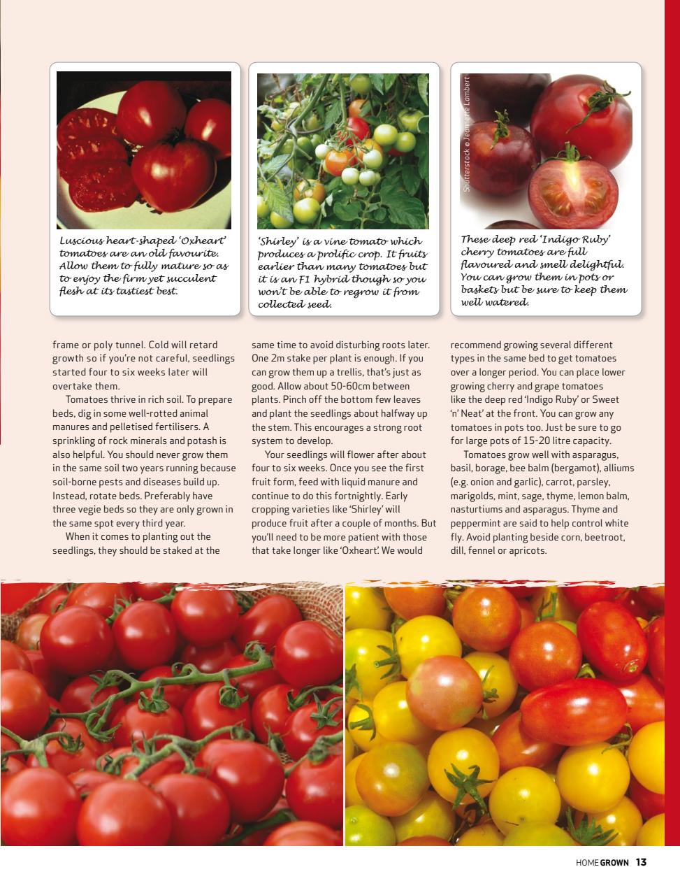 HomeGrown Preview Pages