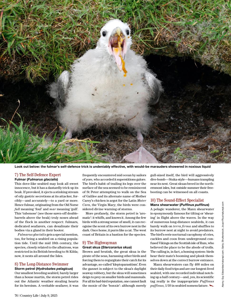 Country Life Preview Pages