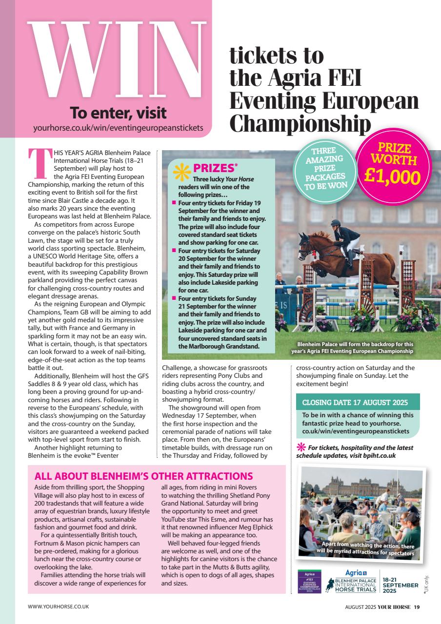 Your Horse Preview Pages