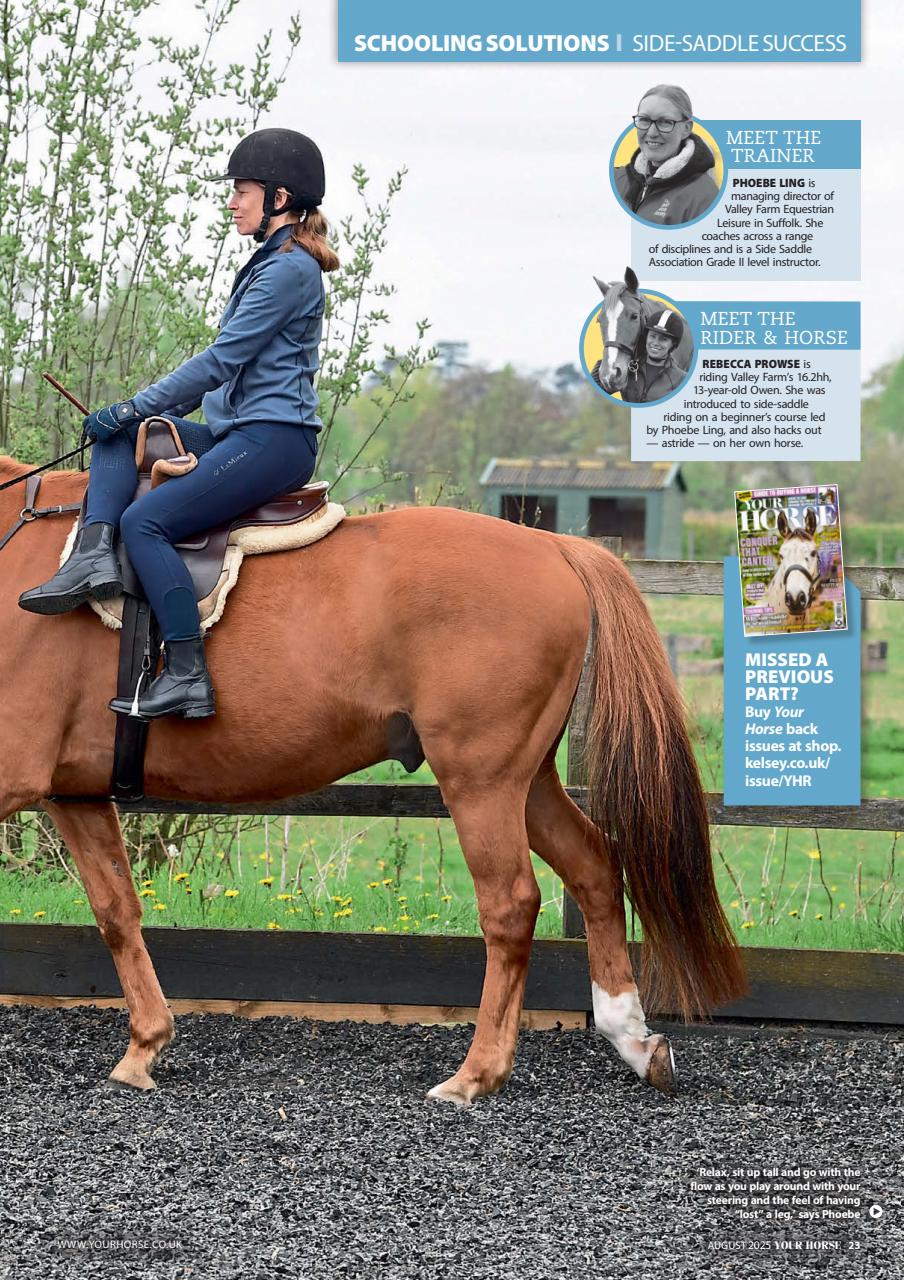 Your Horse Preview Pages