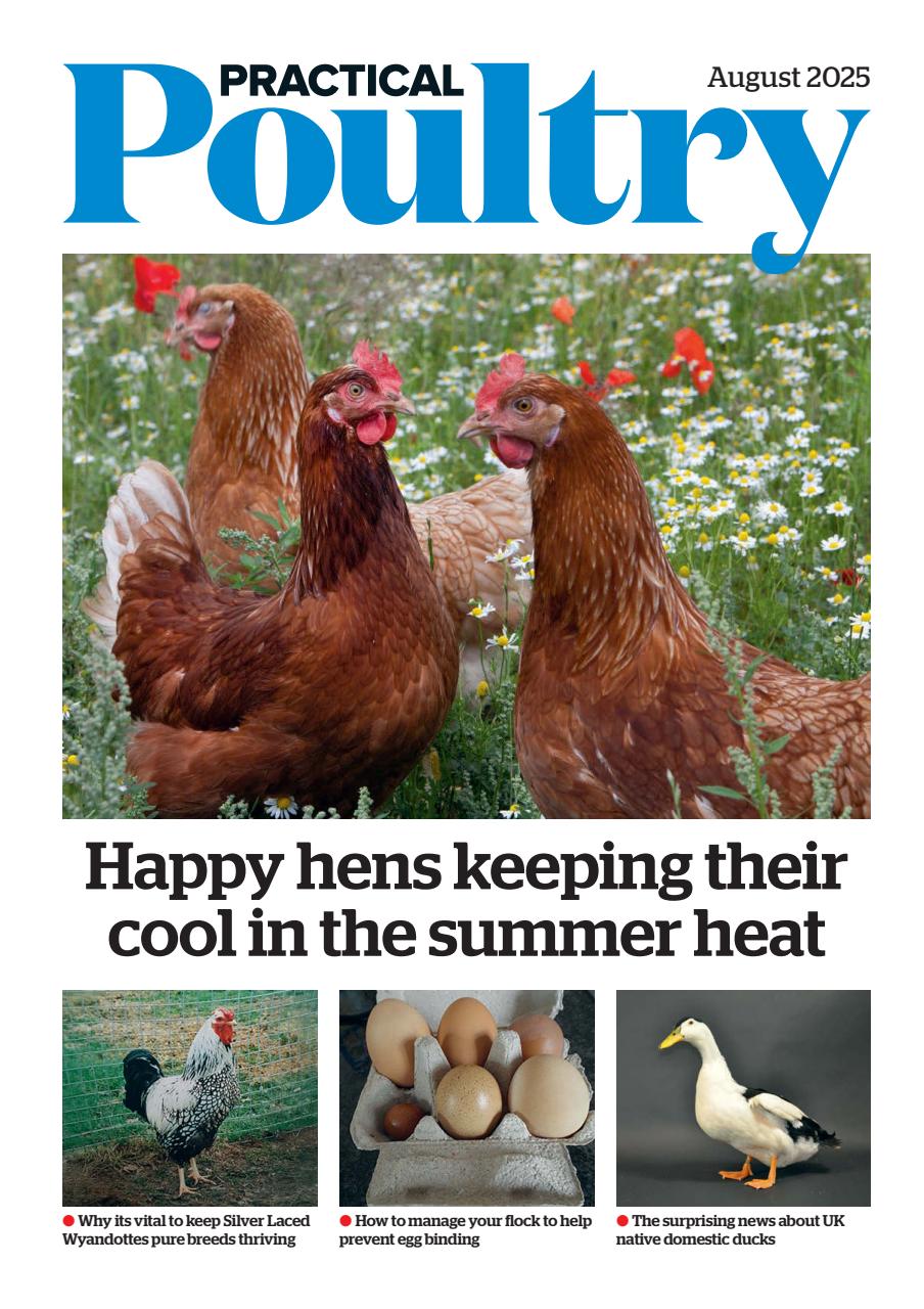 The Country Smallholder Preview Pages