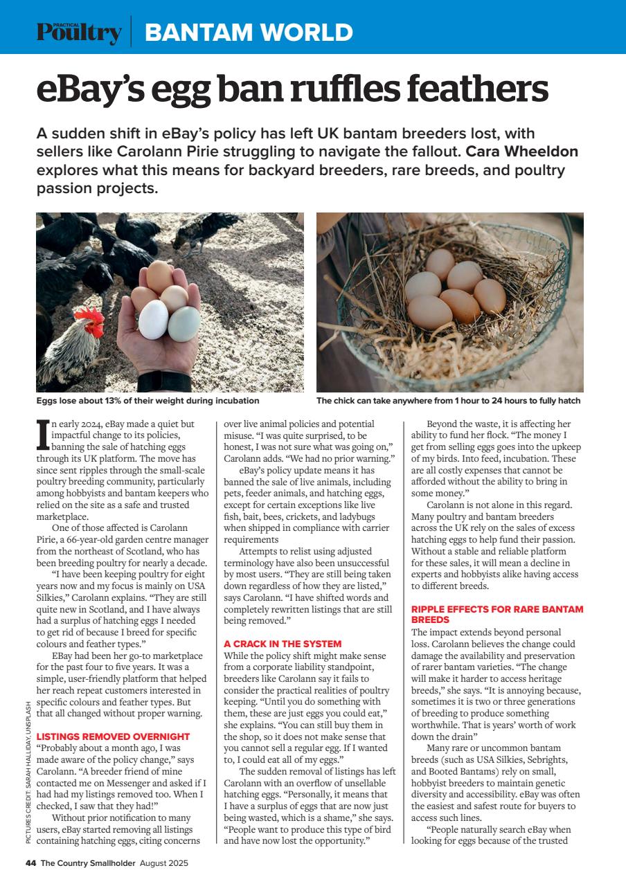 The Country Smallholder Preview Pages