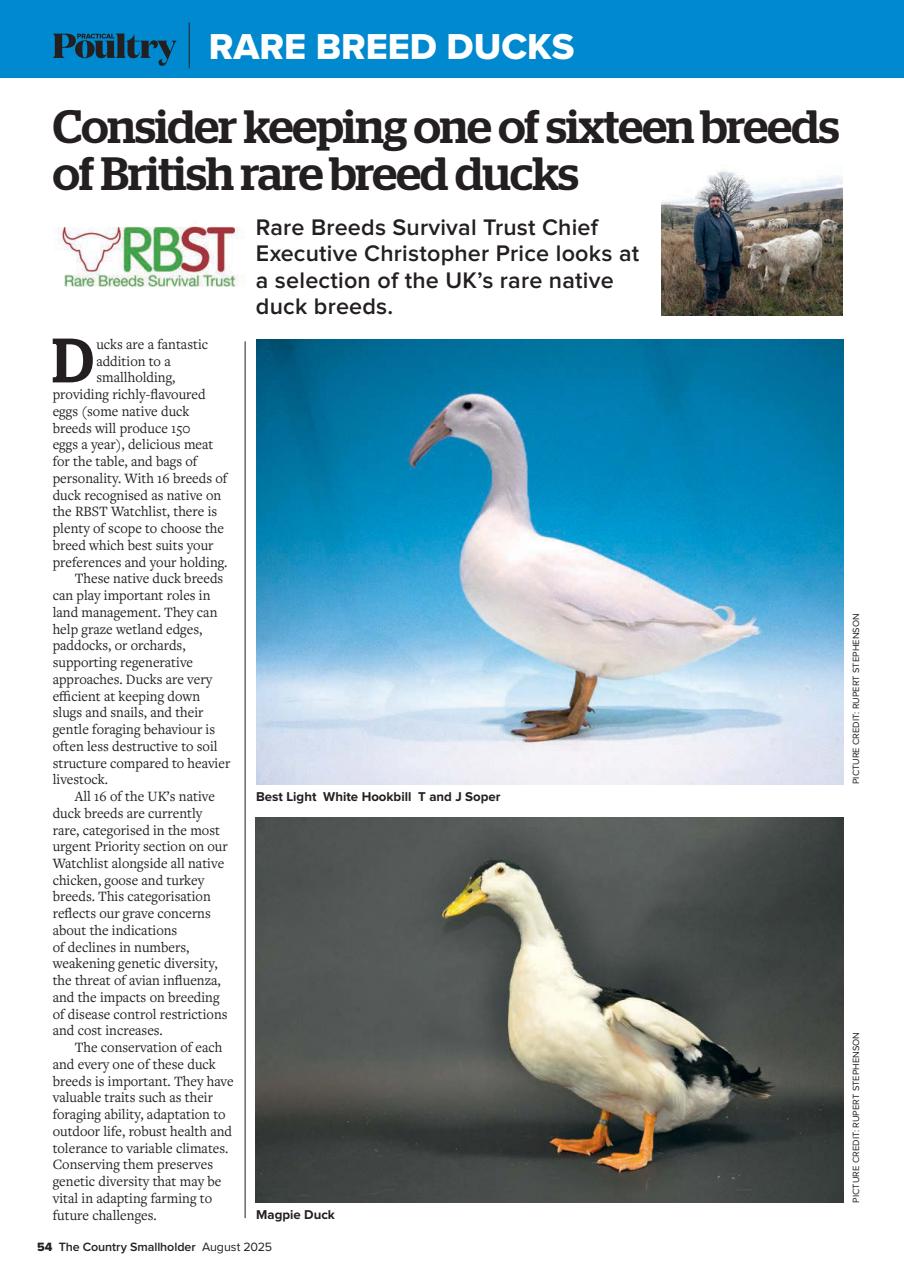 The Country Smallholder Preview Pages