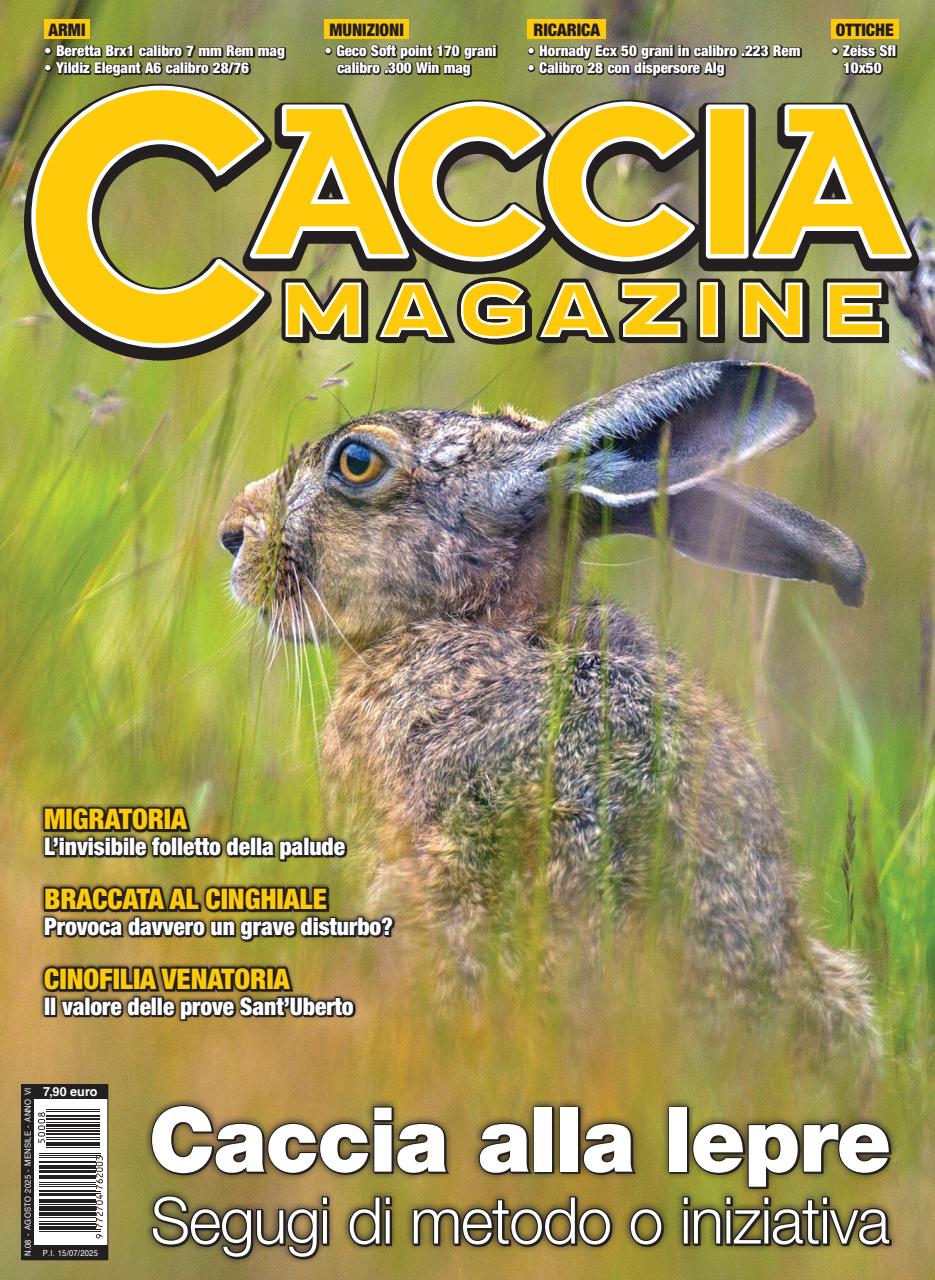 Caccia Magazine Preview Pages
