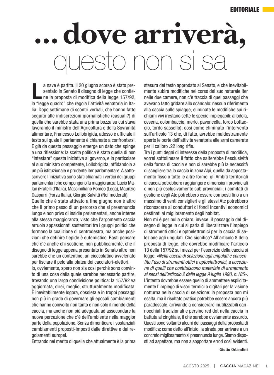 Caccia Magazine Preview Pages