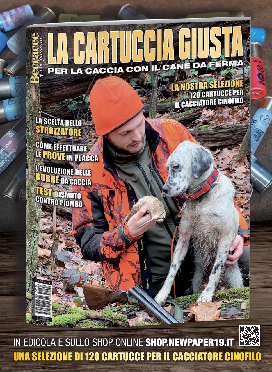 Caccia Magazine Preview Pages