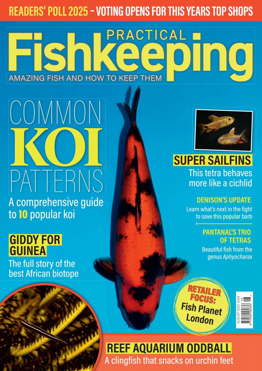 Practical Fishkeeping Preview Pages