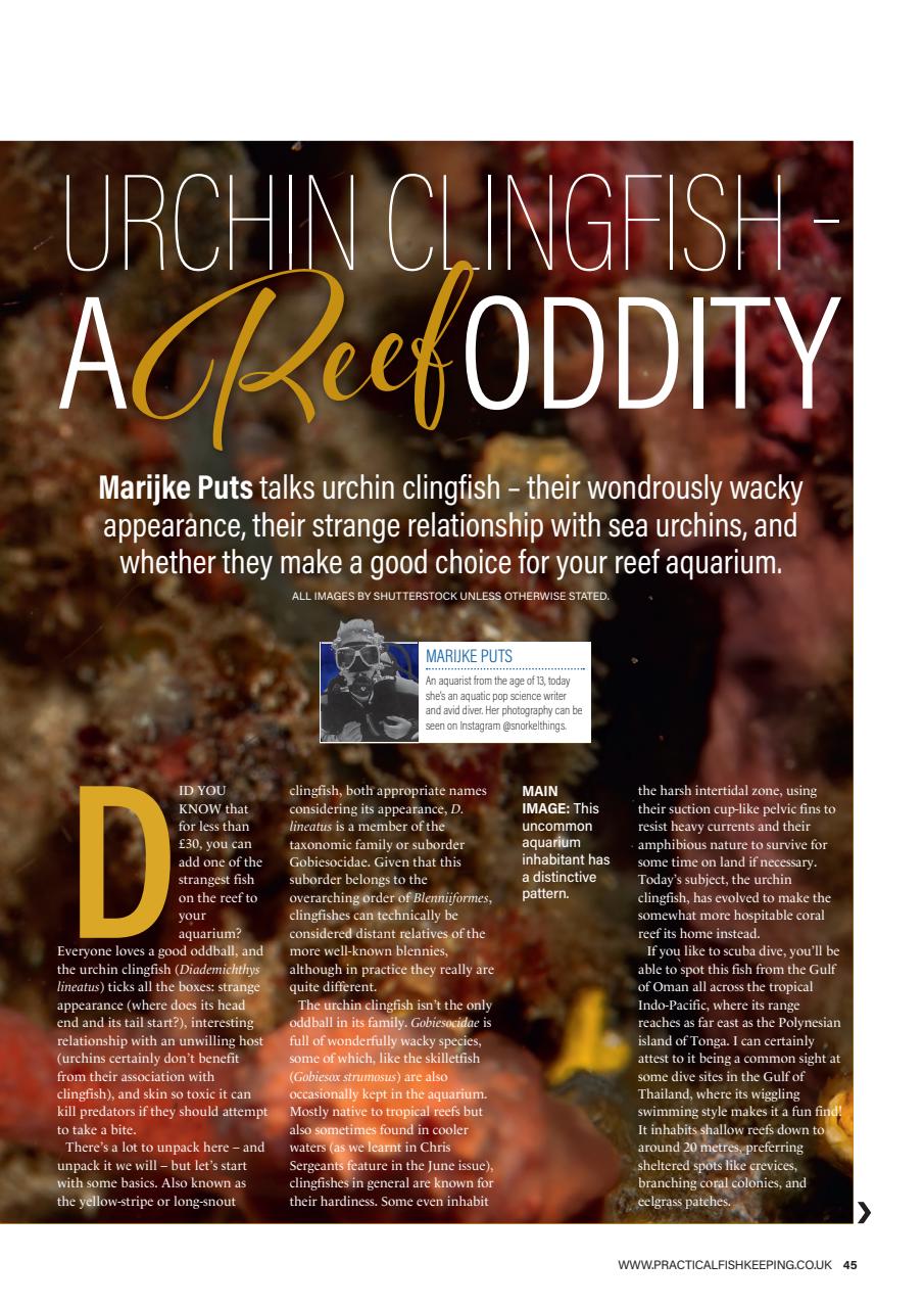 Practical Fishkeeping Preview Pages