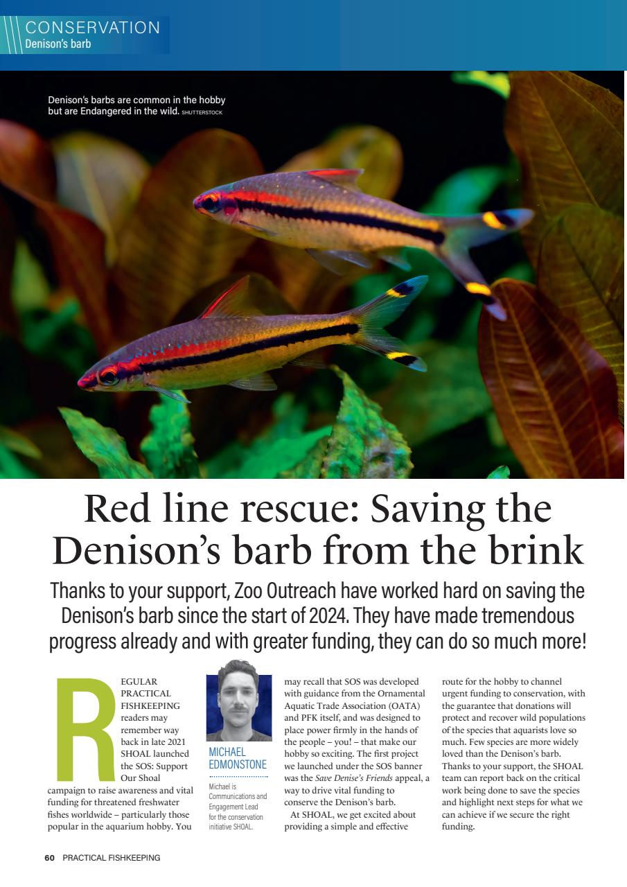 Practical Fishkeeping Preview Pages