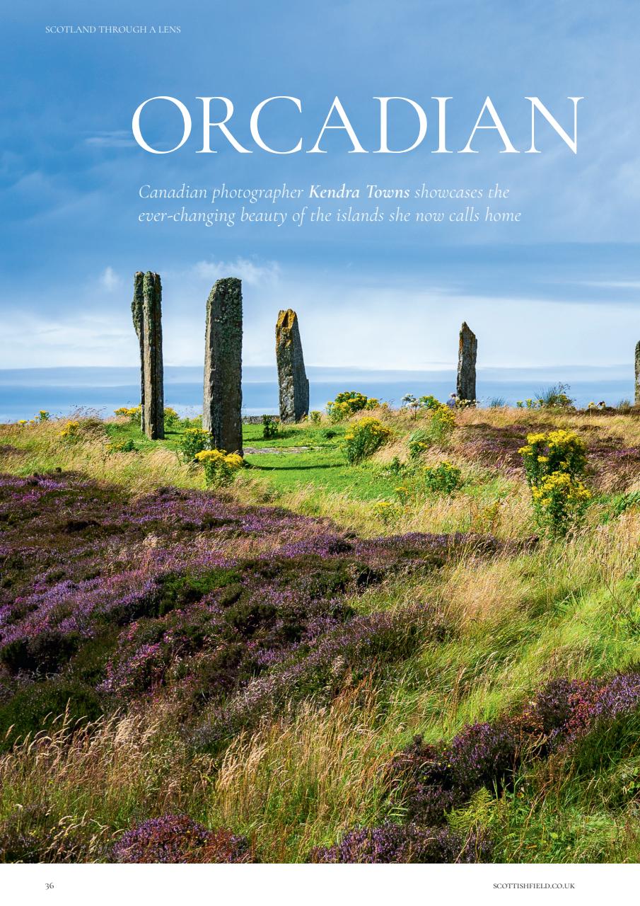 Scottish Field Preview Pages