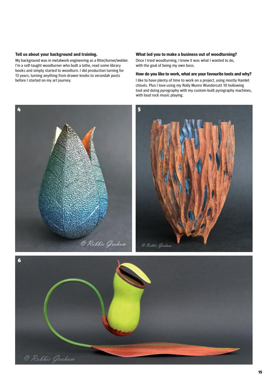 Woodturning Preview Pages