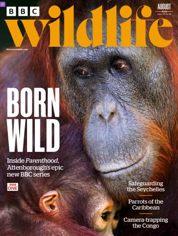 BBC Wildlife Magazine issue August 2025