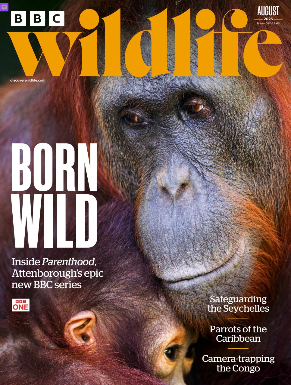 BBC Wildlife Magazine Preview Pages