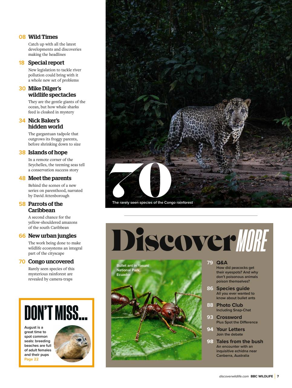 BBC Wildlife Magazine Preview Pages