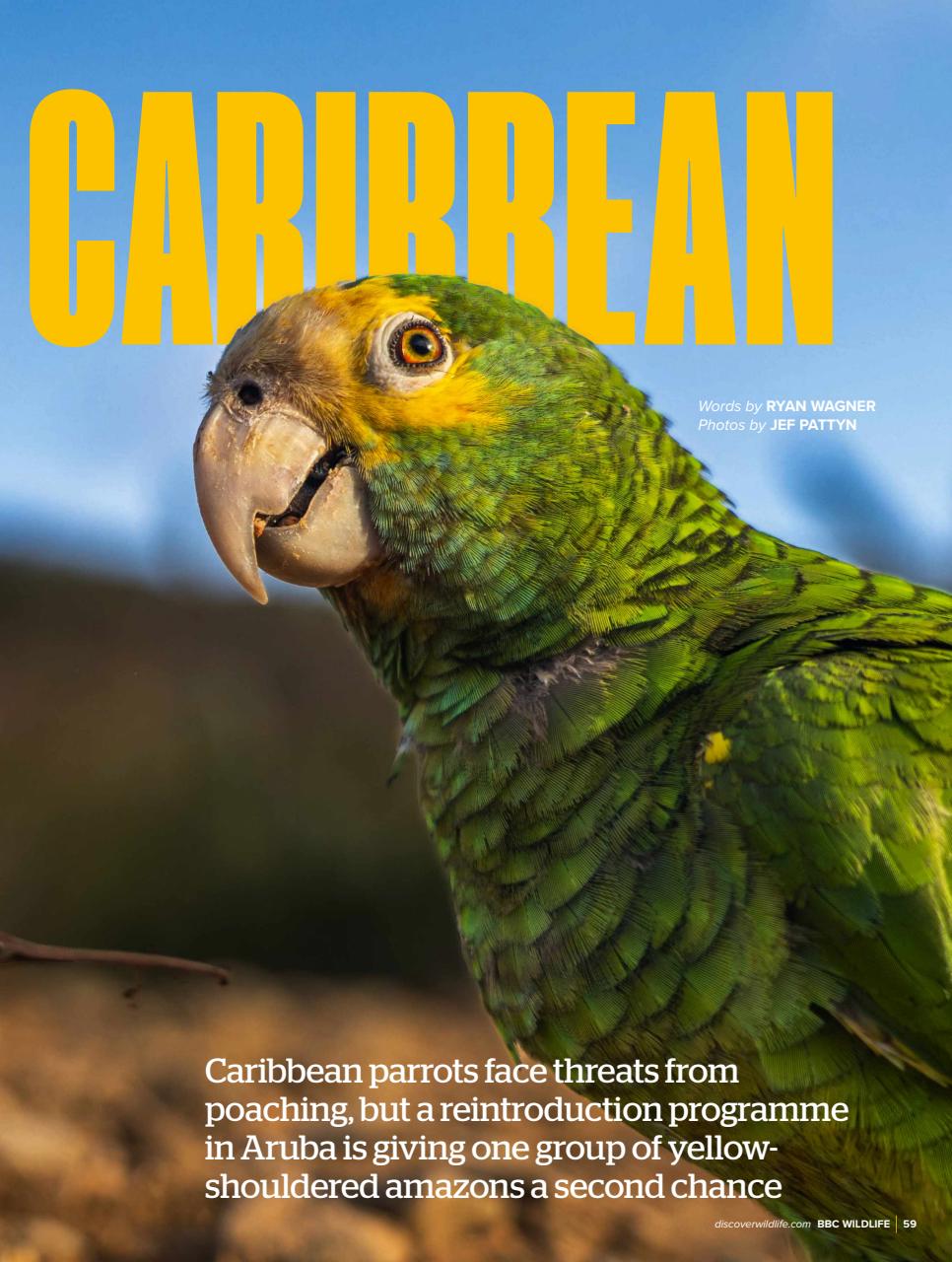 BBC Wildlife Magazine Preview Pages