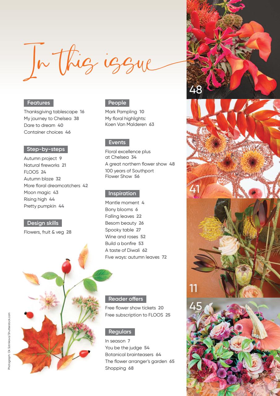 The Flower Arranger Preview Pages