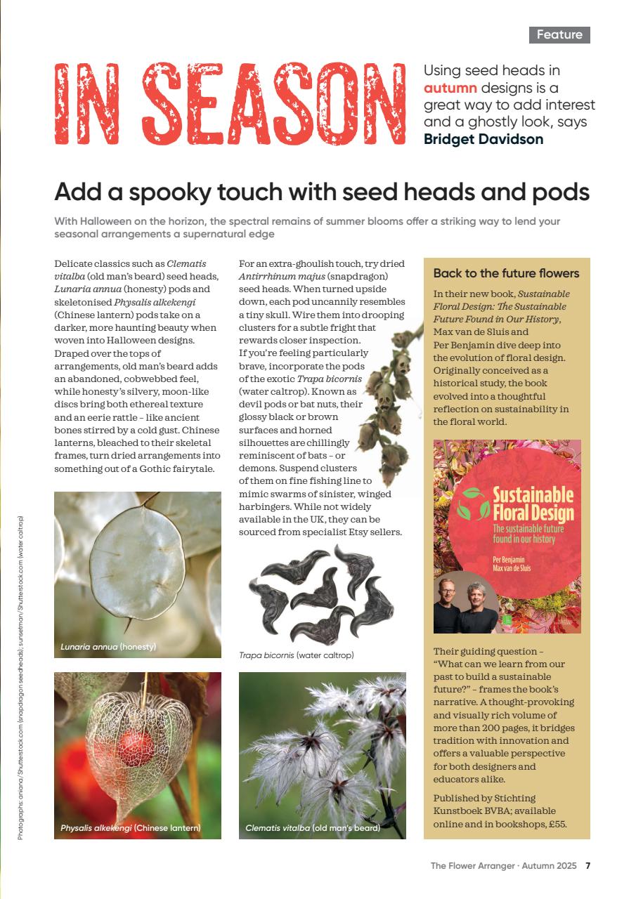 The Flower Arranger Preview Pages