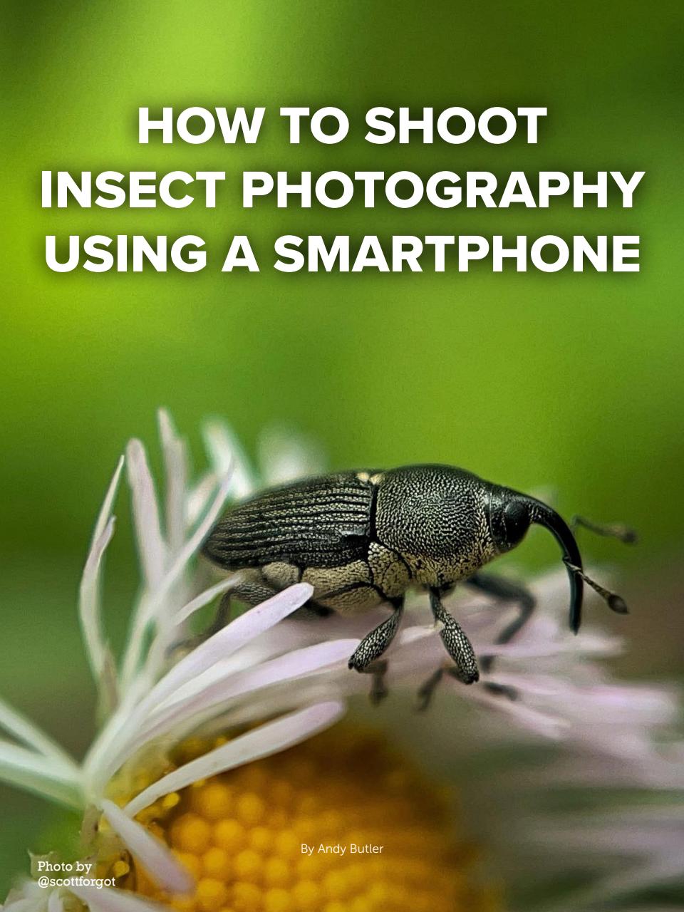 Mobiography Preview Pages