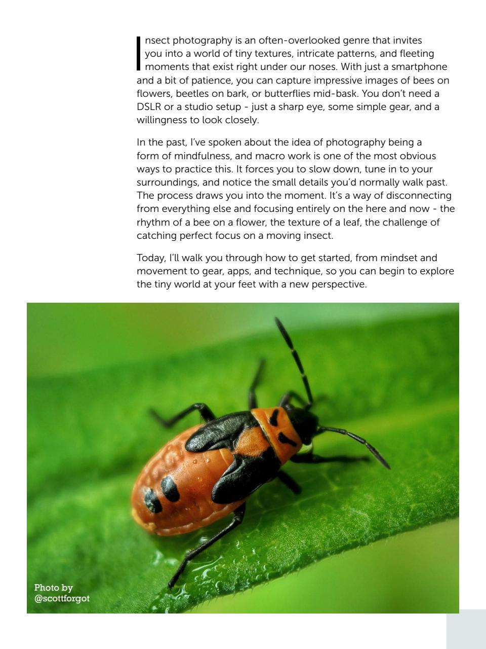 Mobiography Preview Pages