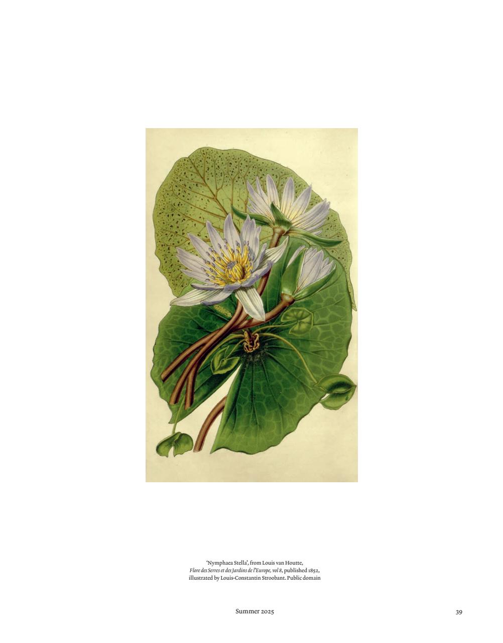 ArtReview Asia Preview Pages