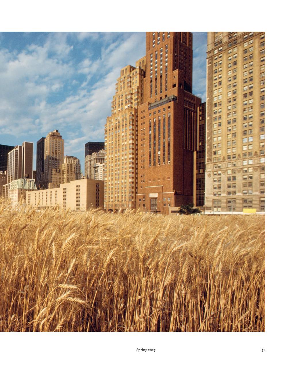 ArtReview Asia Preview Pages