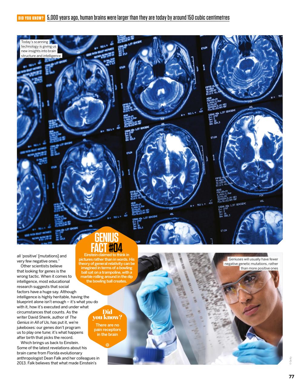 How It Works Preview Pages