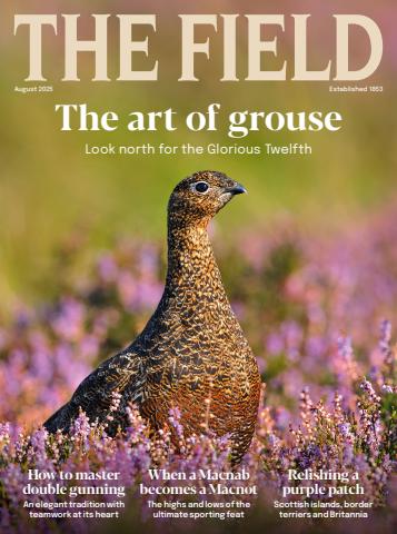 The Field issue August 2025