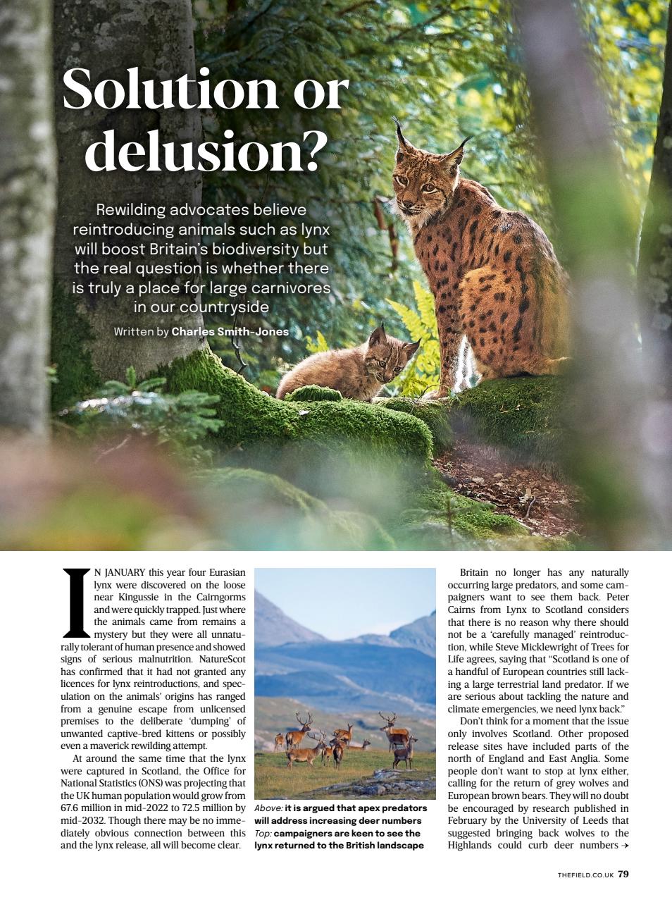 The Field Preview Pages