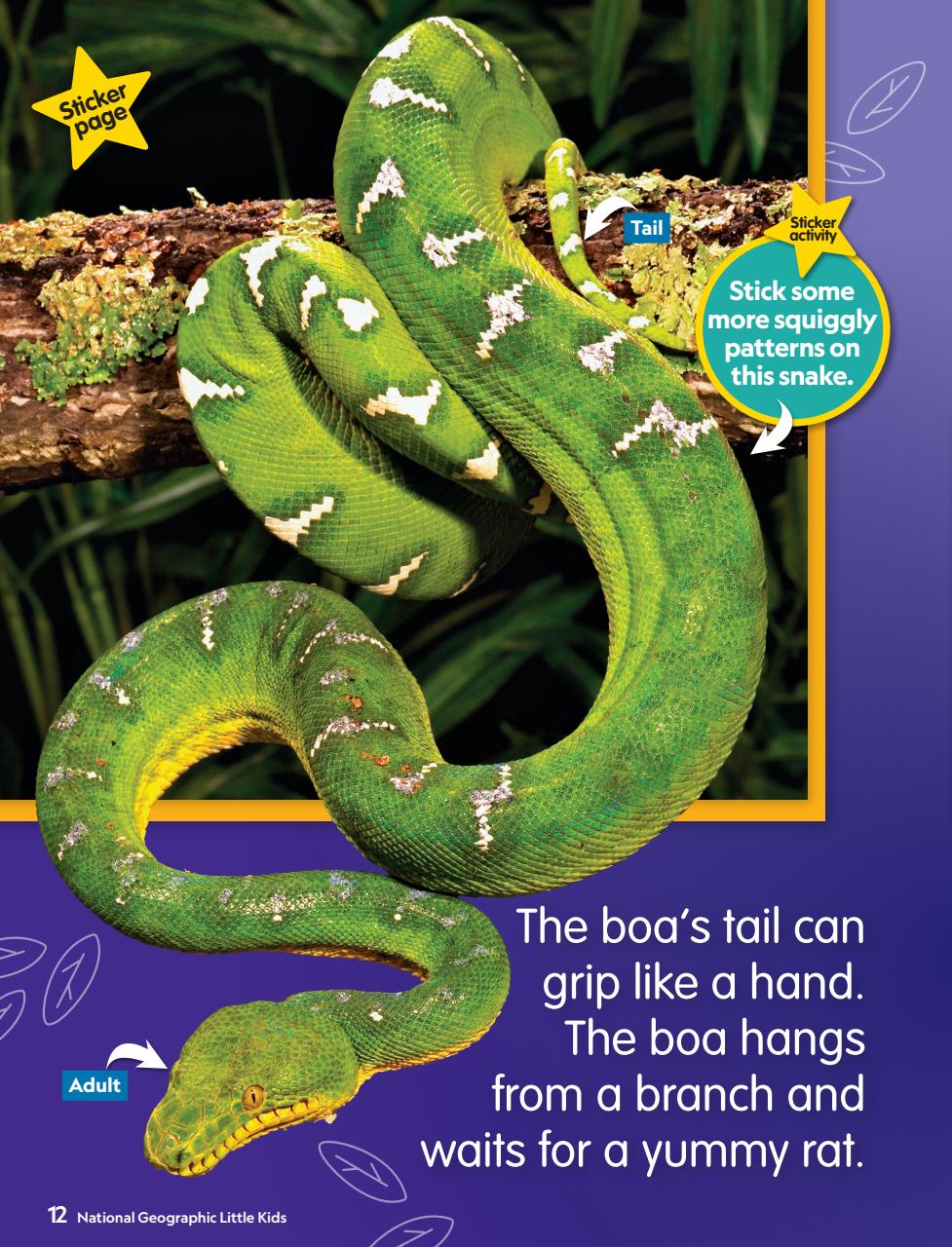 National Geographic Little Kids Preview Pages