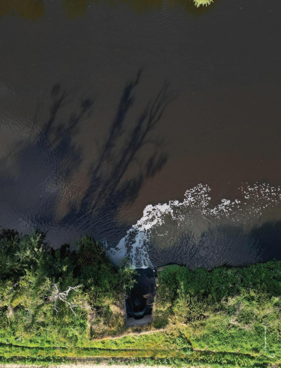 Prospect Magazine Preview Pages