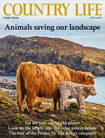 Country Life issue 16th July 2025