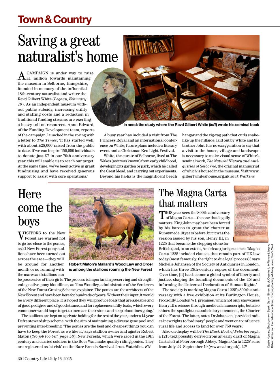 Country Life Preview Pages