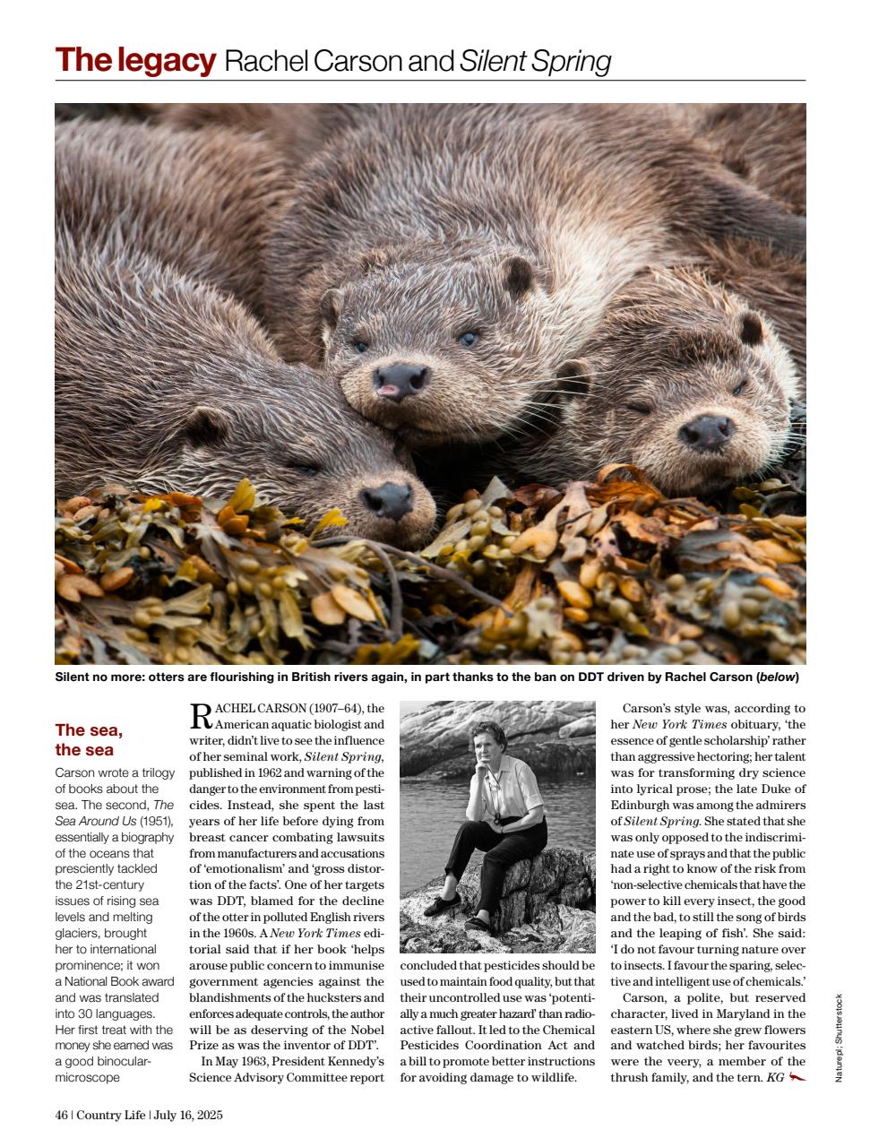 Country Life Preview Pages