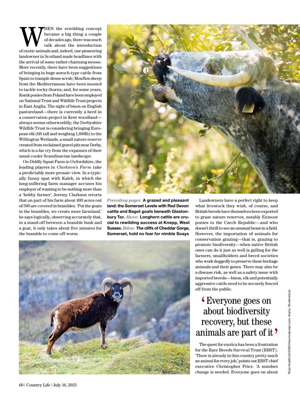 Country Life Preview Pages