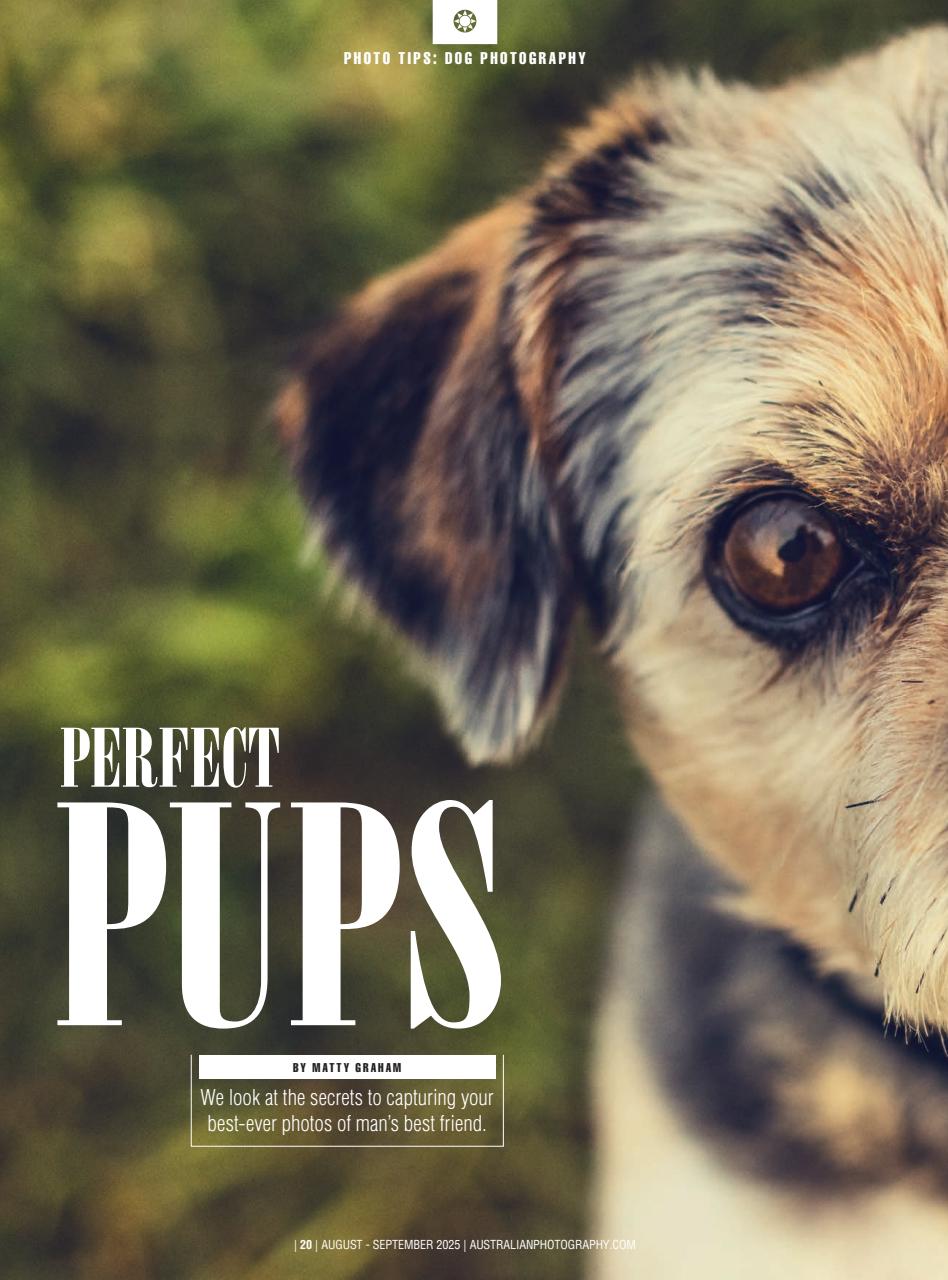 Australian Photography Preview Pages