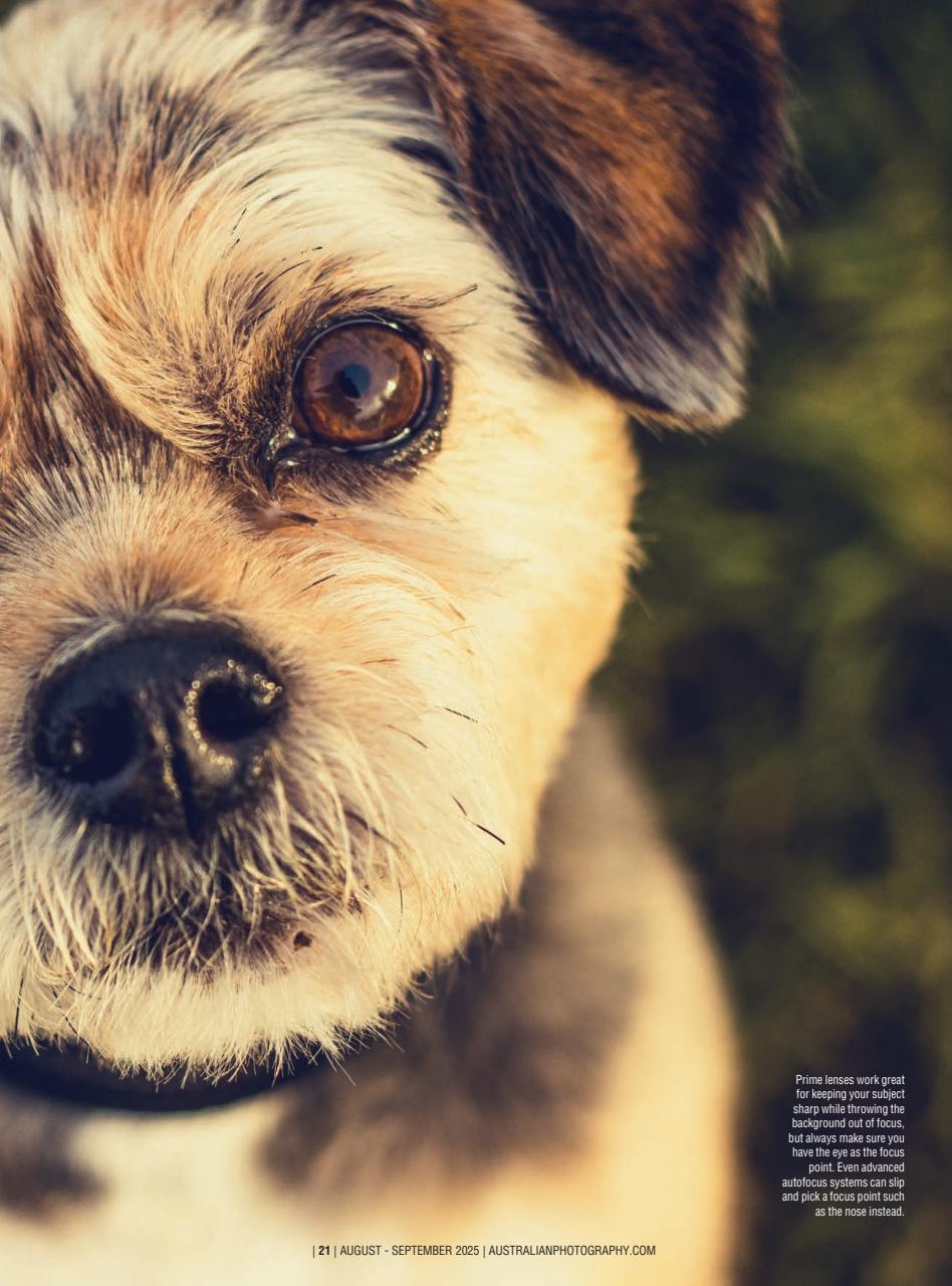 Australian Photography Preview Pages