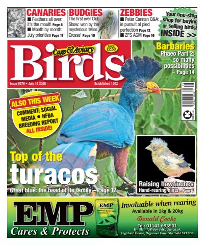 Cage & Aviary Birds issue 16th July 2025