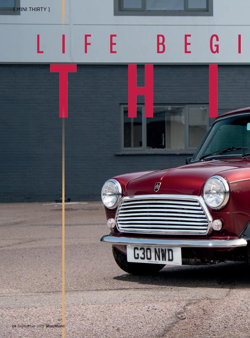 Mini World Preview Pages