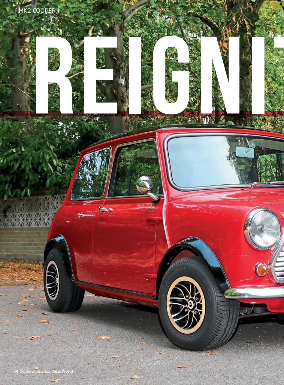 Mini World Preview Pages