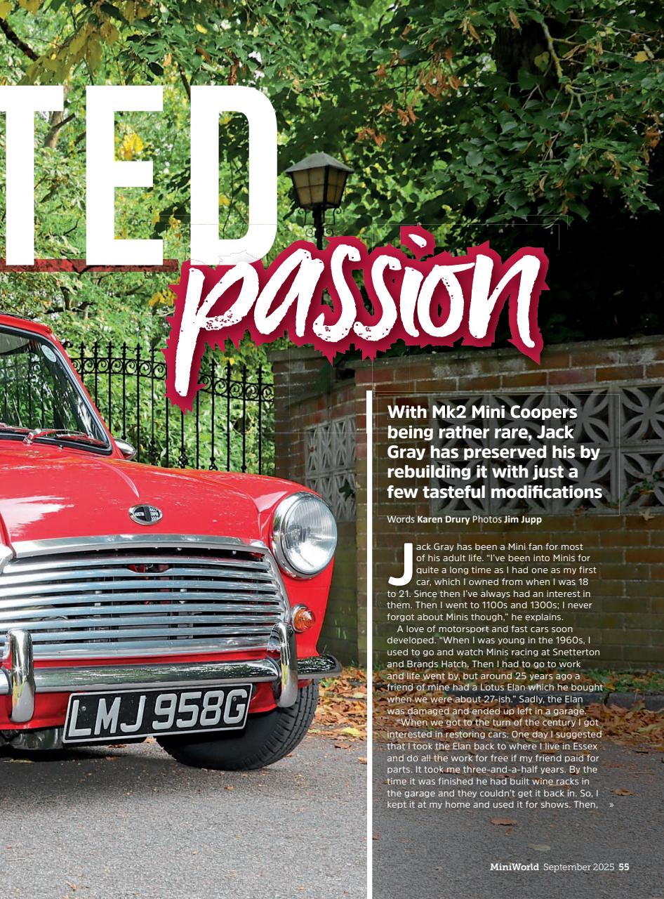 Mini World Preview Pages